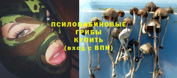ALPHA-PVP Алексеевка