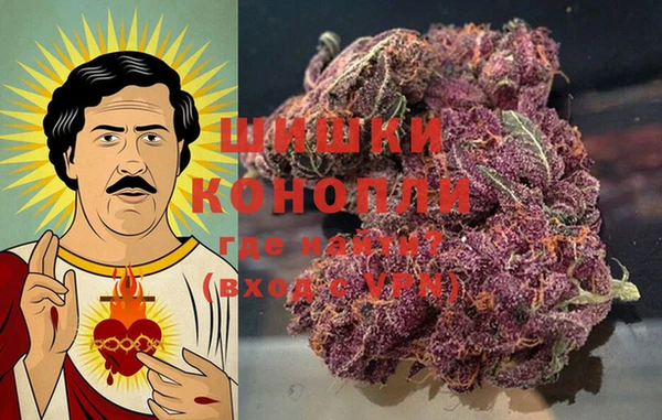 прущая мука Алзамай